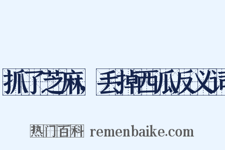 抓了芝麻，丢掉西瓜反义词是什么意思的图片